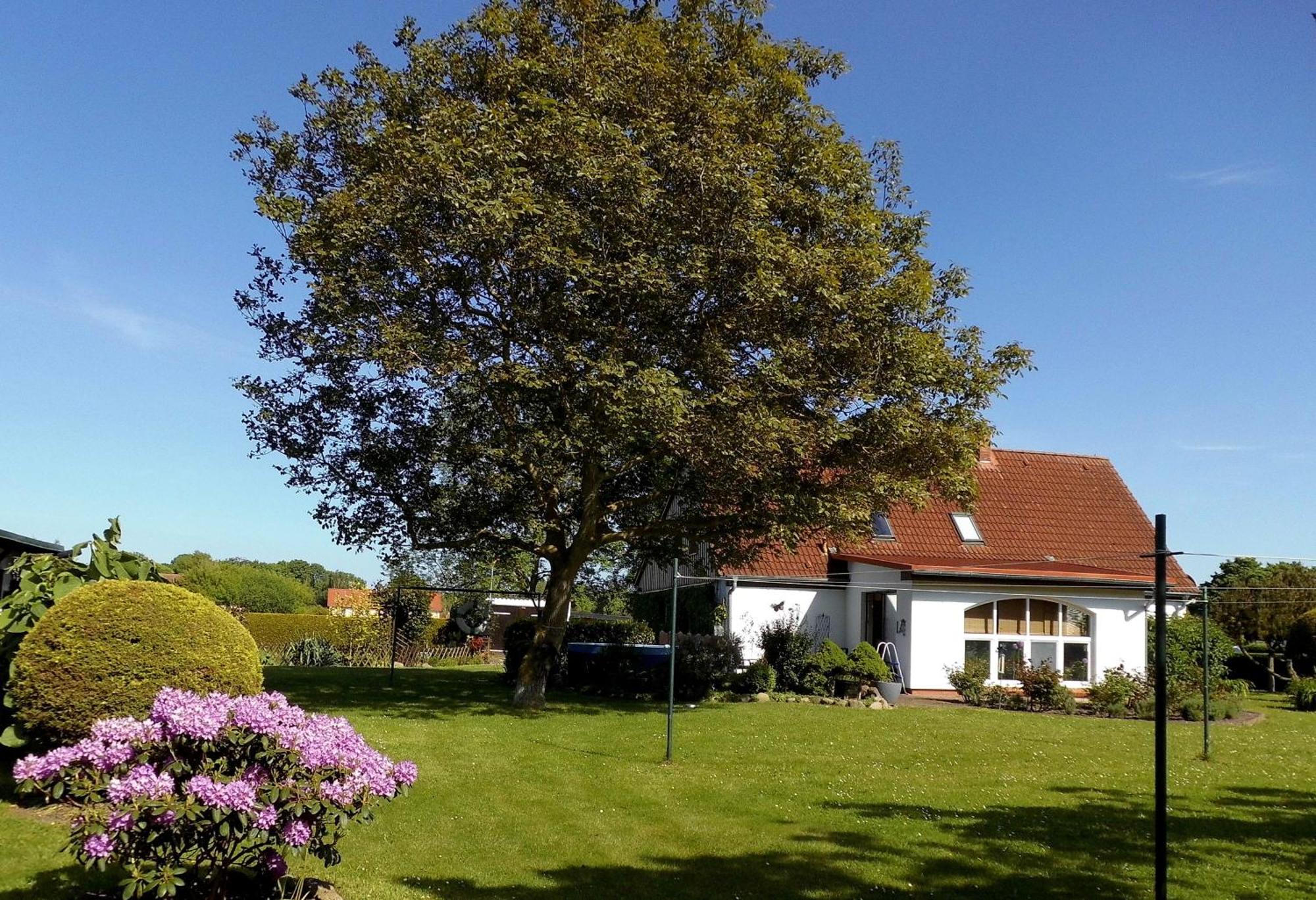 Bungalow Und Ferienwohnung Auf Ruegen Kluis Luaran gambar